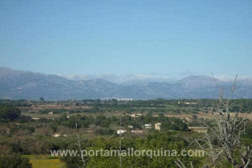 Vsitas despejadas a las afueras