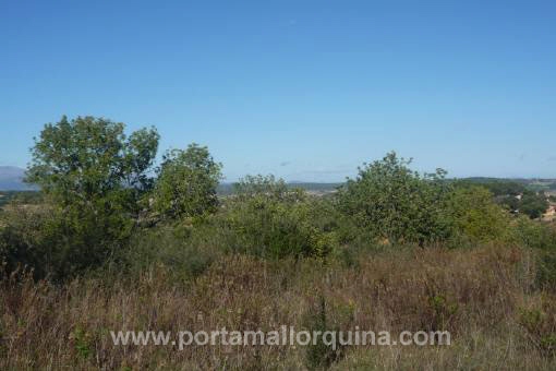Vistas panorámicas sobre el paisaje