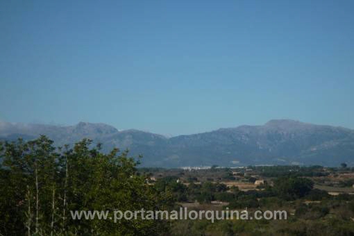 Solar en Algaida