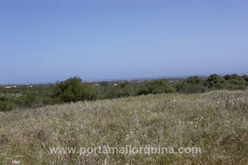 Hermosa naturaleza