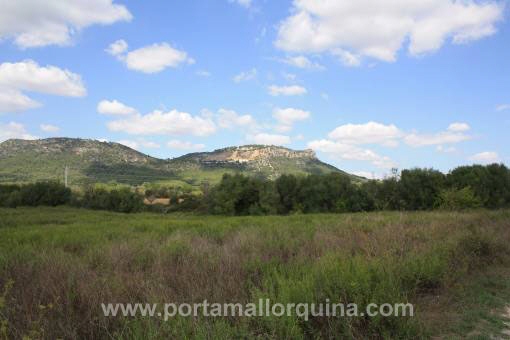 Solar en Llucmajor