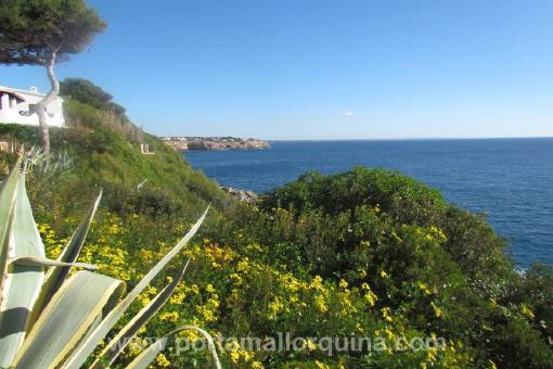 Apartamento en Vallgornera