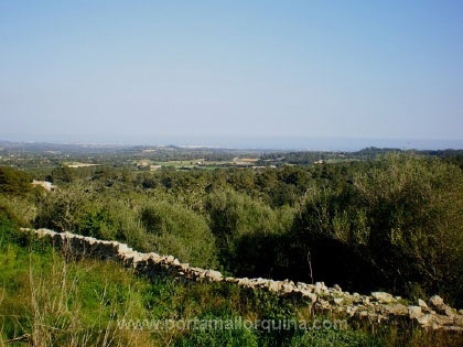 Vista despejada al paisaje.