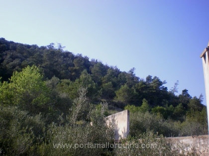 El solar está situado a la montaña.