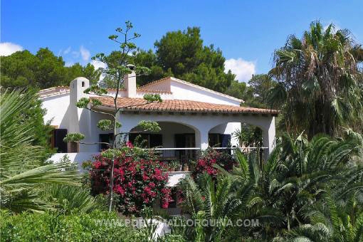 Villa en Camp de Mar
