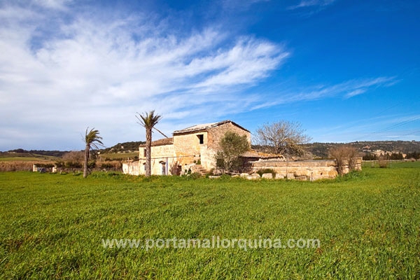 Finca en Petra