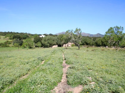 Solar en Arta