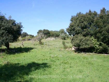Vista al sitio ideal para construir la casa