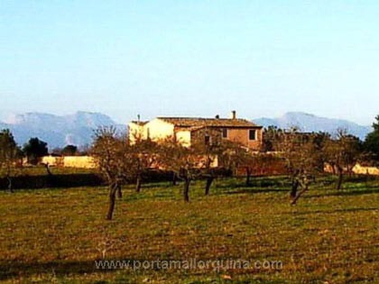 Finca en Algaida