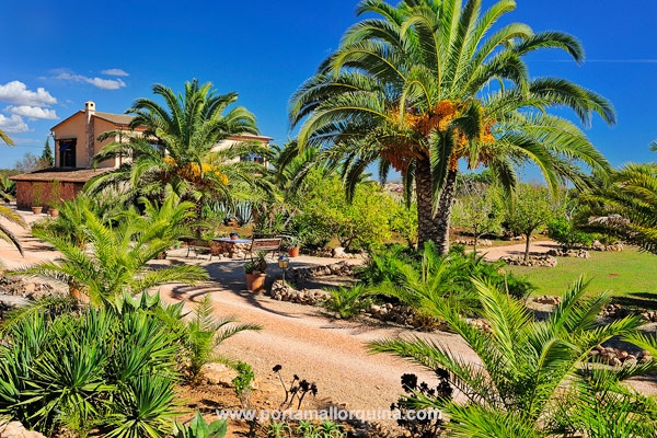 Finca en Llucmajor