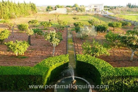 Jardín bien cuidado