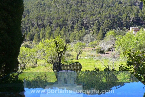 Finca en Andratx