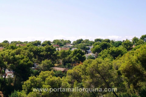 Casa en Portals Nous para vender