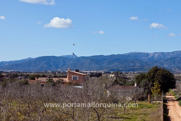 Vistas hacia las montañas de Tramuntana