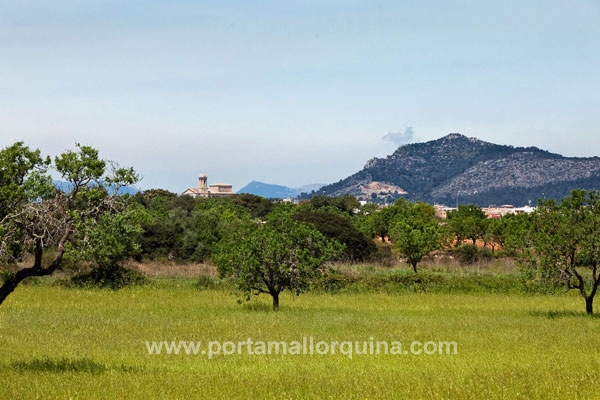 Finca en Llucmajor
