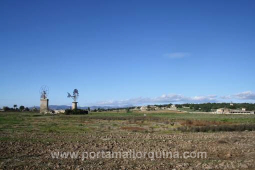 Vistas sobre el terreno