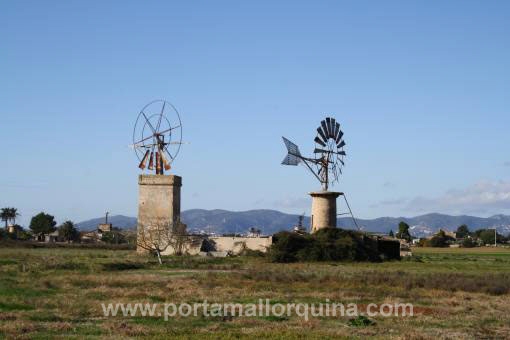 Finca en Sant Jordi para vender