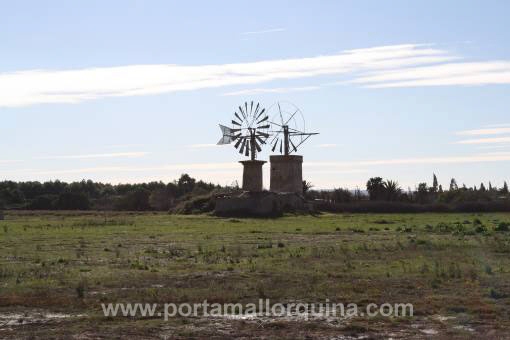 Vista del molino mallorquin