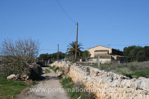Acceso a la finca rústica