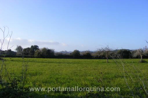 Solar en Arta