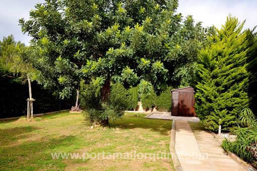Apartamento en Son Caliu