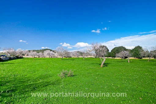 Vista del solar
