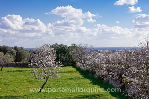Solar en Calonge