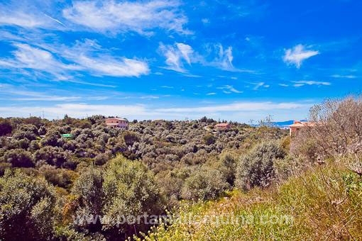 Vistas a las afueras
