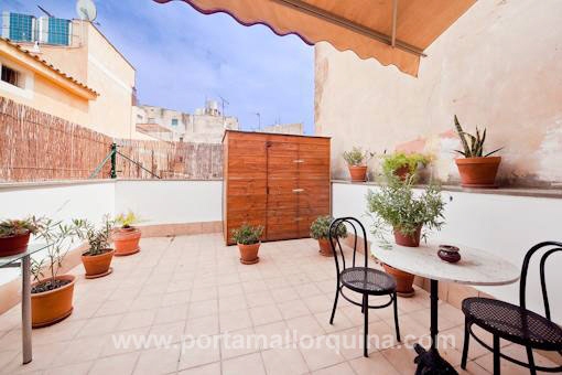 Apartamento en Palma de Mallorca Casco Antiguo