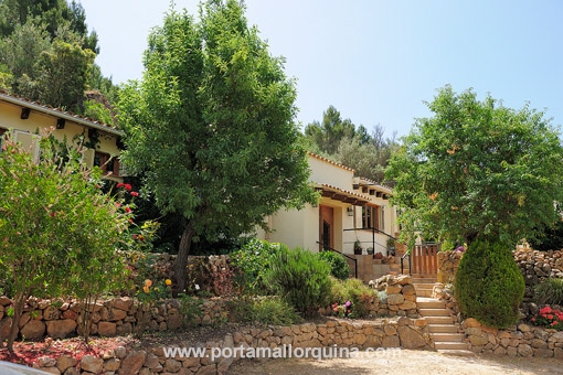 Finca en Andratx