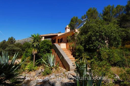Finca en Puigpunyent para vender