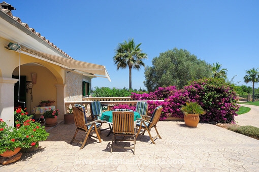 Terraza y el fantástico jardín