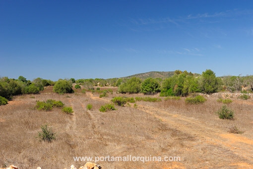 Solar en Cala Mondrago para vender