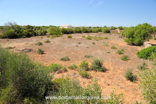 Vista del terreno