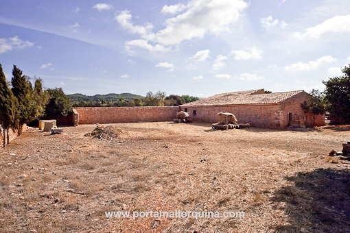 Las tierras agrícolas