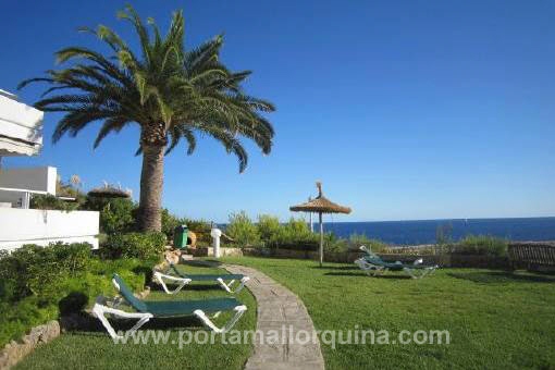 Apartamento en Portals Nous para alquiler