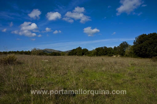 Solar en Arta