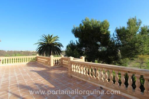 Finca en Inca
