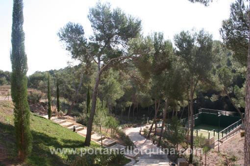 Instalaciones deportivas