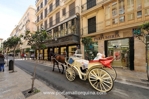 Apartamento en Palma de Mallorca Casco Antiguo