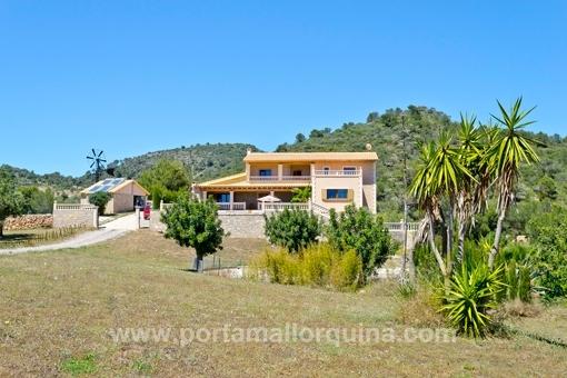 Finca en San Lorenzo