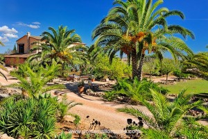 101129-finca-en-llucmajor