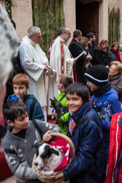 Bendición de animales durante Sant Antoni