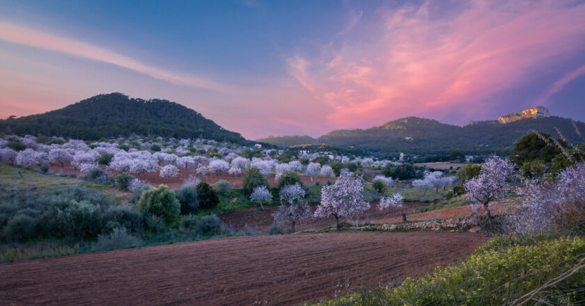 Pasar el invierno en Mallorca: clima suave y brisa marina