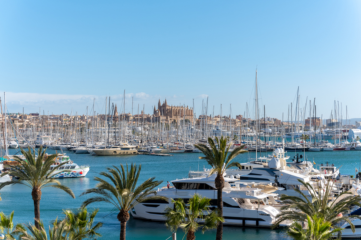 Ciudad de Palma con vistas al puerto deportivo y la catedral.