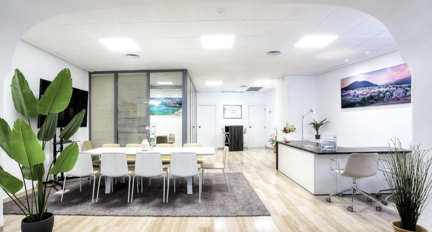 Office Alaro Porta Mallorquina