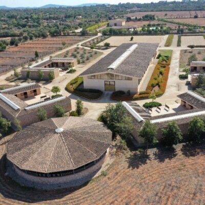 Propiedades para montar a caballo en Mallorca: la isla perfecta para los amantes de los caballos