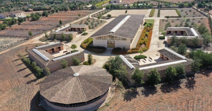 Propiedades para montar a caballo en Mallorca: la isla perfecta para los amantes de los caballos