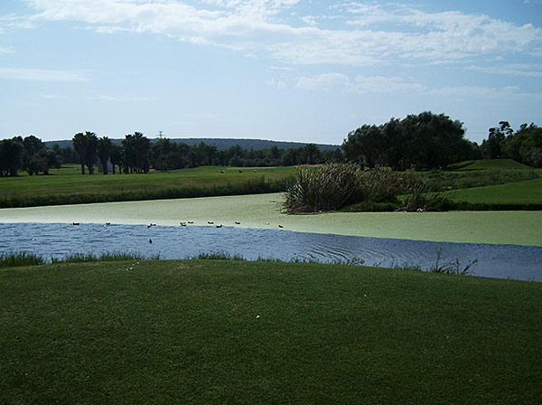 Campo de golf Mallorca