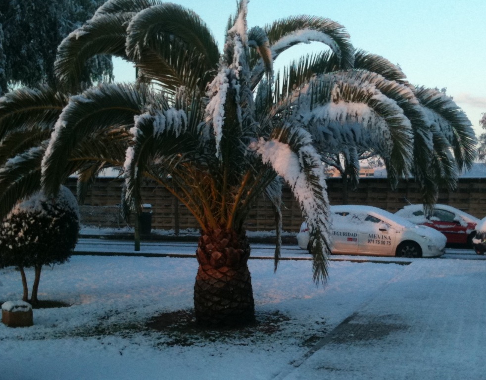 Nieve en Mallorca